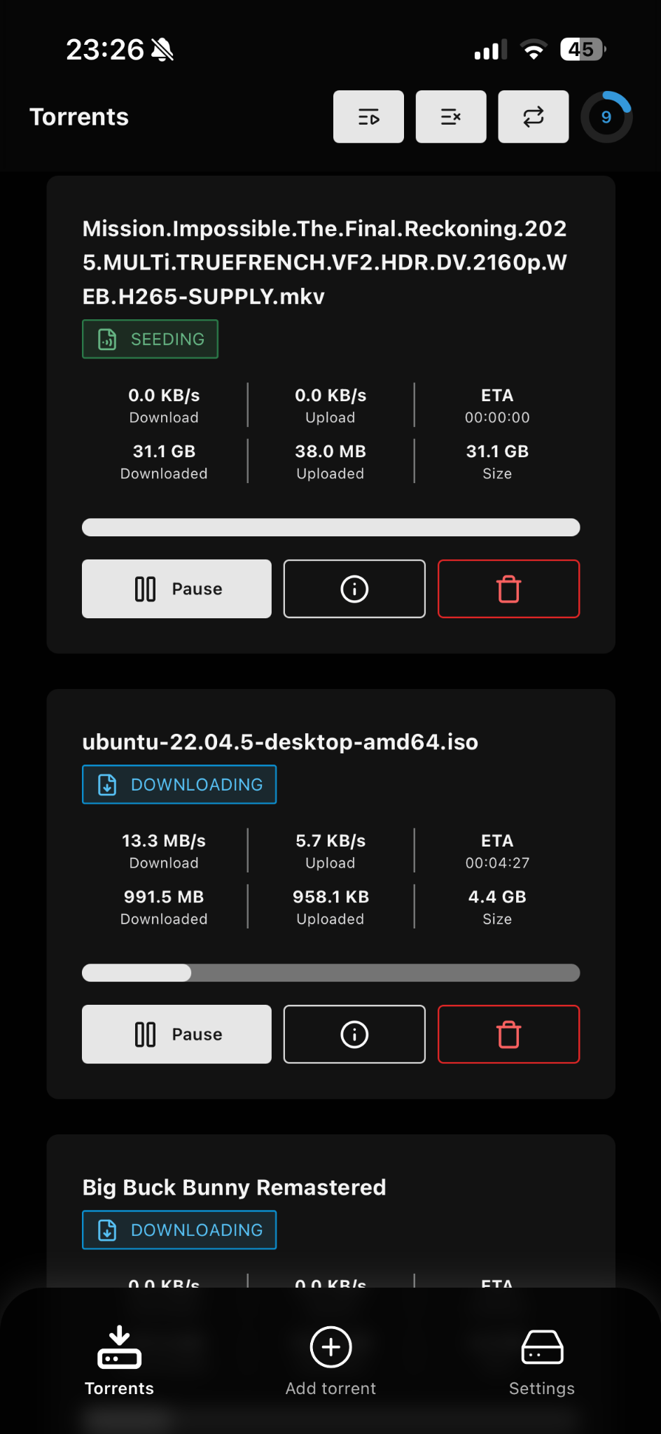 Deluge Client torrents screen